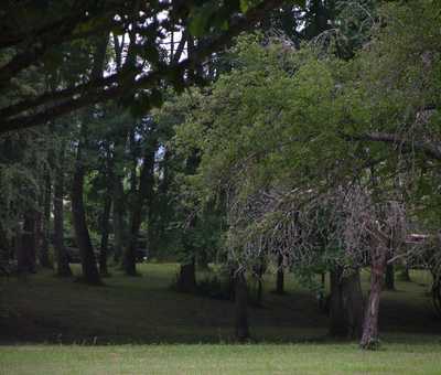 Parc du Moulin d'Andé